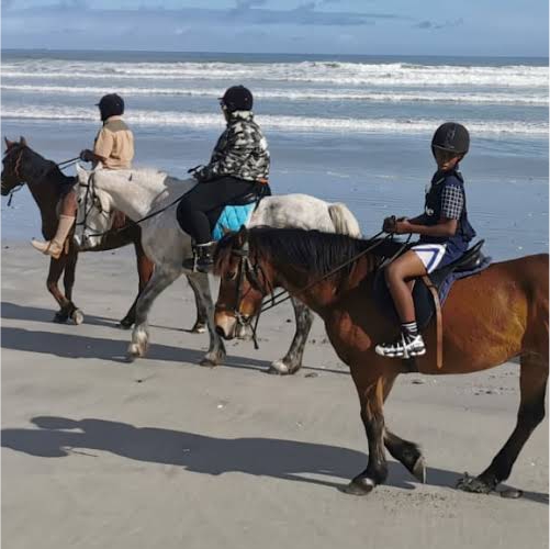 Drikus Beach Rides - Horse trails