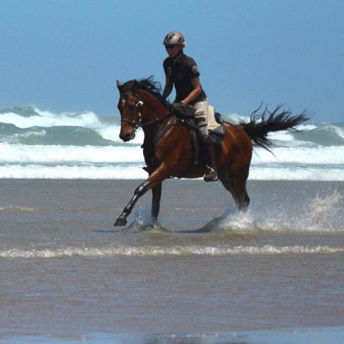 Wild Coast Horse Riding Adventures
