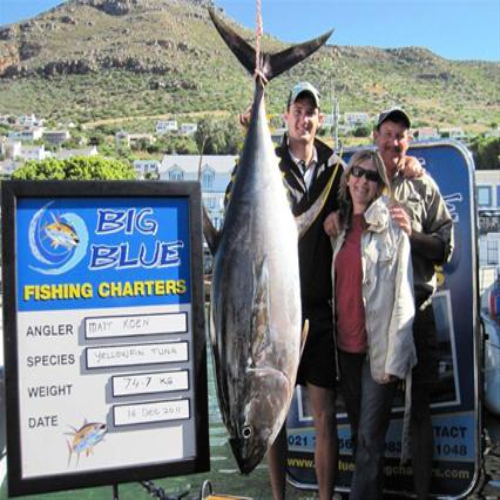 Big Blue Sport Fishing Charters