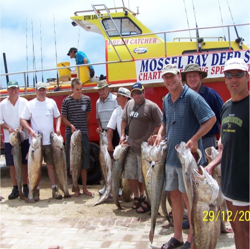 Mossel Bay Deep Sea Adventures