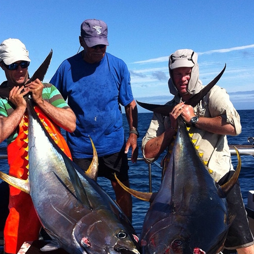Wild Ocean Fishing Charters