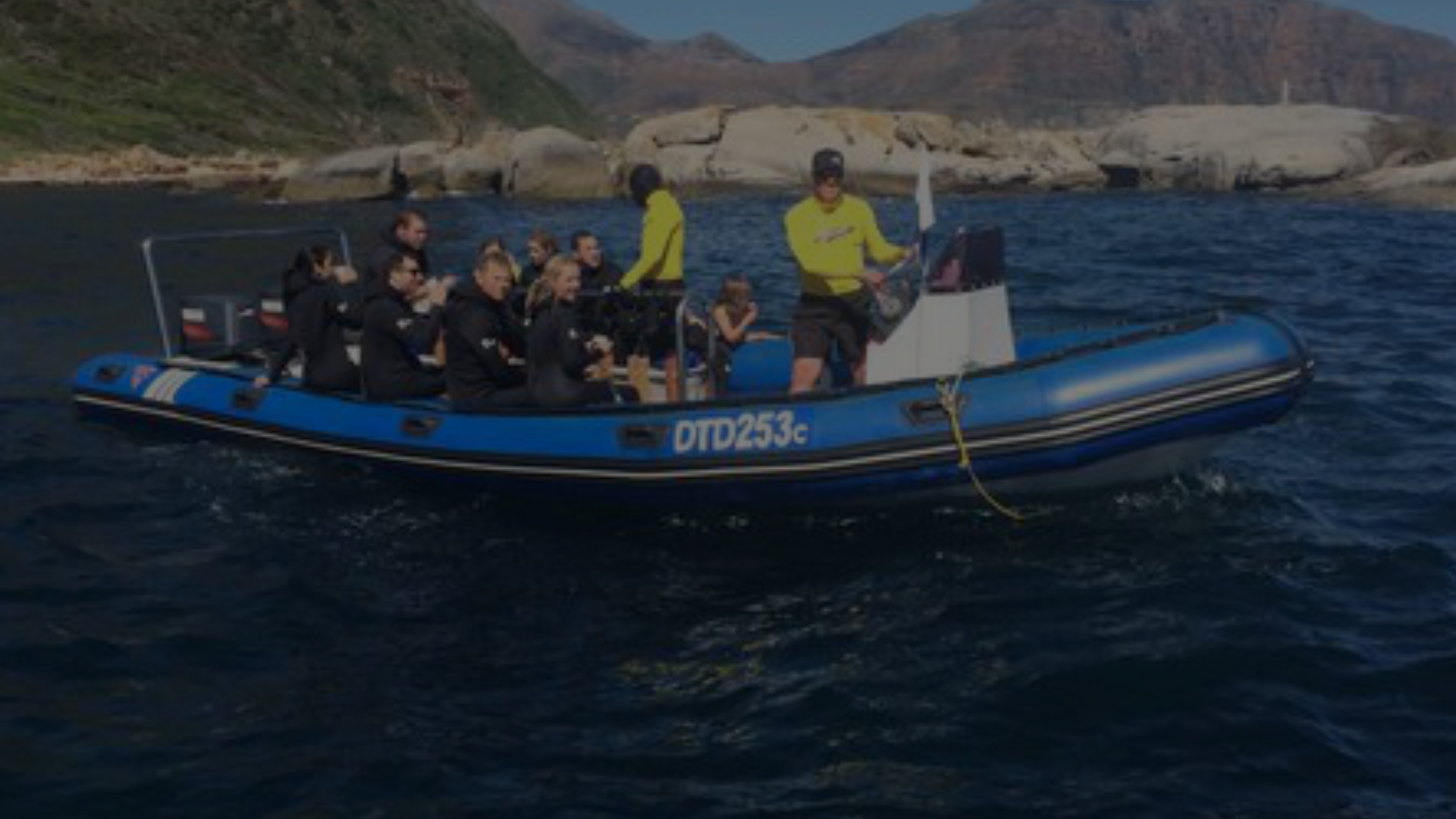 Cape Town Bucket List / Seal Snorkeling Find Your Adventure