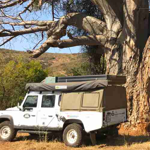 Great Limpopo Wilderness Camps & Trails