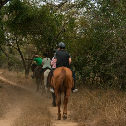 Hluhluwe Horse Safaris
