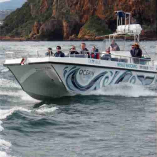 Knysna Boat Charters