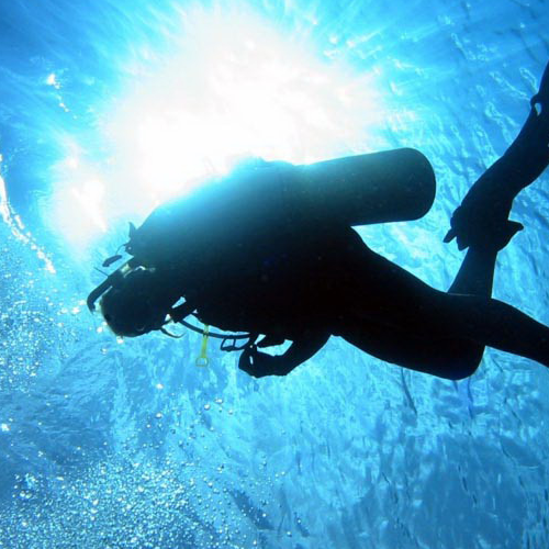 Nemo Diving & Accomodation