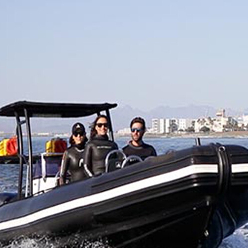 Tri Active Events Management - Hi-Speed Boats