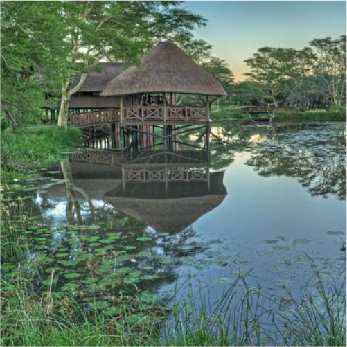 Bonamanzi Game Reserve
