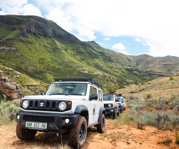 SUZUKI SAFARI TOWN FESTIVAL A GO!